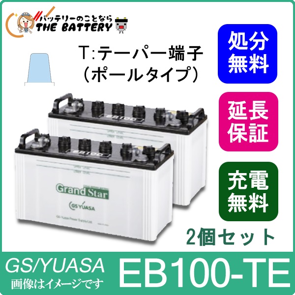 2個セット 6ヶ月 保証付 EB100-set ポールタイプ (テーパー端子) EB