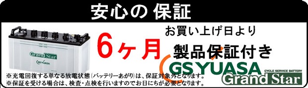 2個セット 6ヶ月 保証付 EB100-set ポールタイプ (テーパー端子) EB