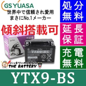 GS-YTX9-BS-zumi