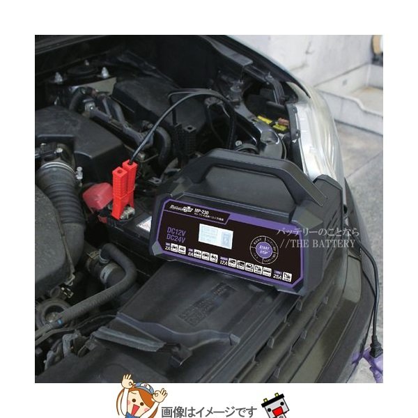 大自 MP-230 セレクト式自動パルスバッテリー充電器 | ザ
