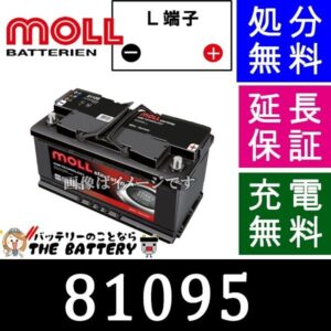 moll81095