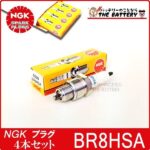 br8hsa-4set