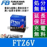 FTZ6V