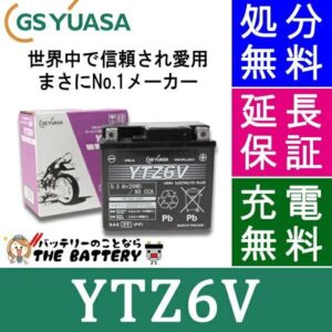 GS-YTZ6V