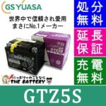 GS-GTZ5S