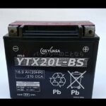 GS-YTX20L-BS