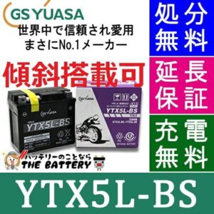 GS-YTX5L-BS-zumi