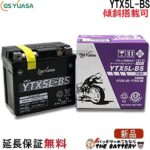 GS-YTX5L-BS-zumi