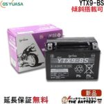 GS-YTX9-BS-zumi