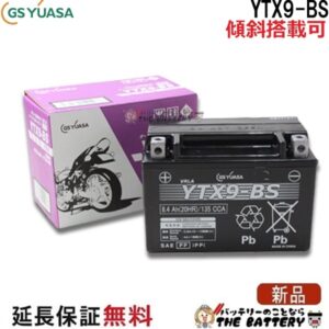 GS-YTX9-BS-zumi