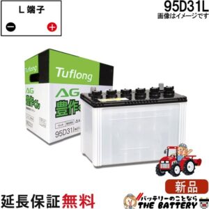 AG95D31L