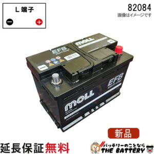 moll82080