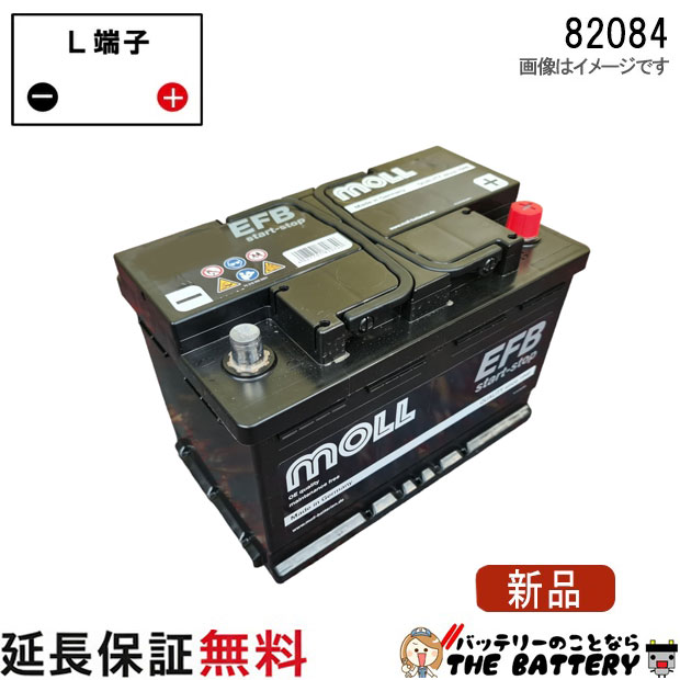 moll82080