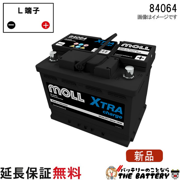 moll83062