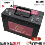 ad-m31mf